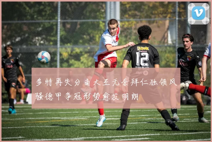 多特再失分南大王无奈拜仁独领风骚德甲争冠形势愈发明朗