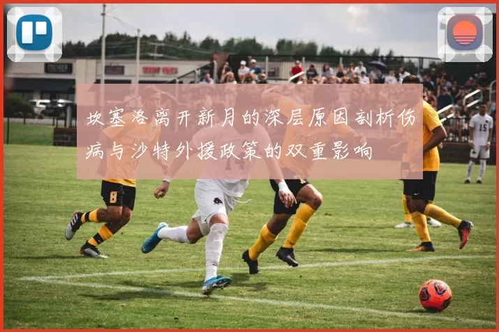 坎塞洛离开新月的深层原因剖析伤病与沙特外援政策的双重影响