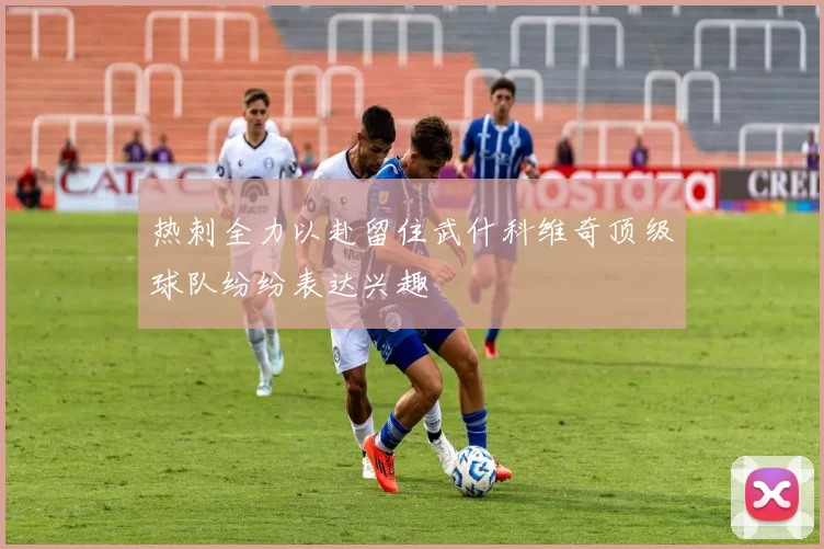 热刺全力以赴留住武什科维奇顶级球队纷纷表达兴趣