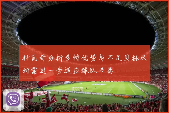 科瓦奇分析多特优势与不足贝林汉姆需进一步适应球队节奏